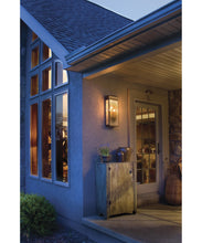 Load image into Gallery viewer, Whitaker outdoor lighting collection (options available)